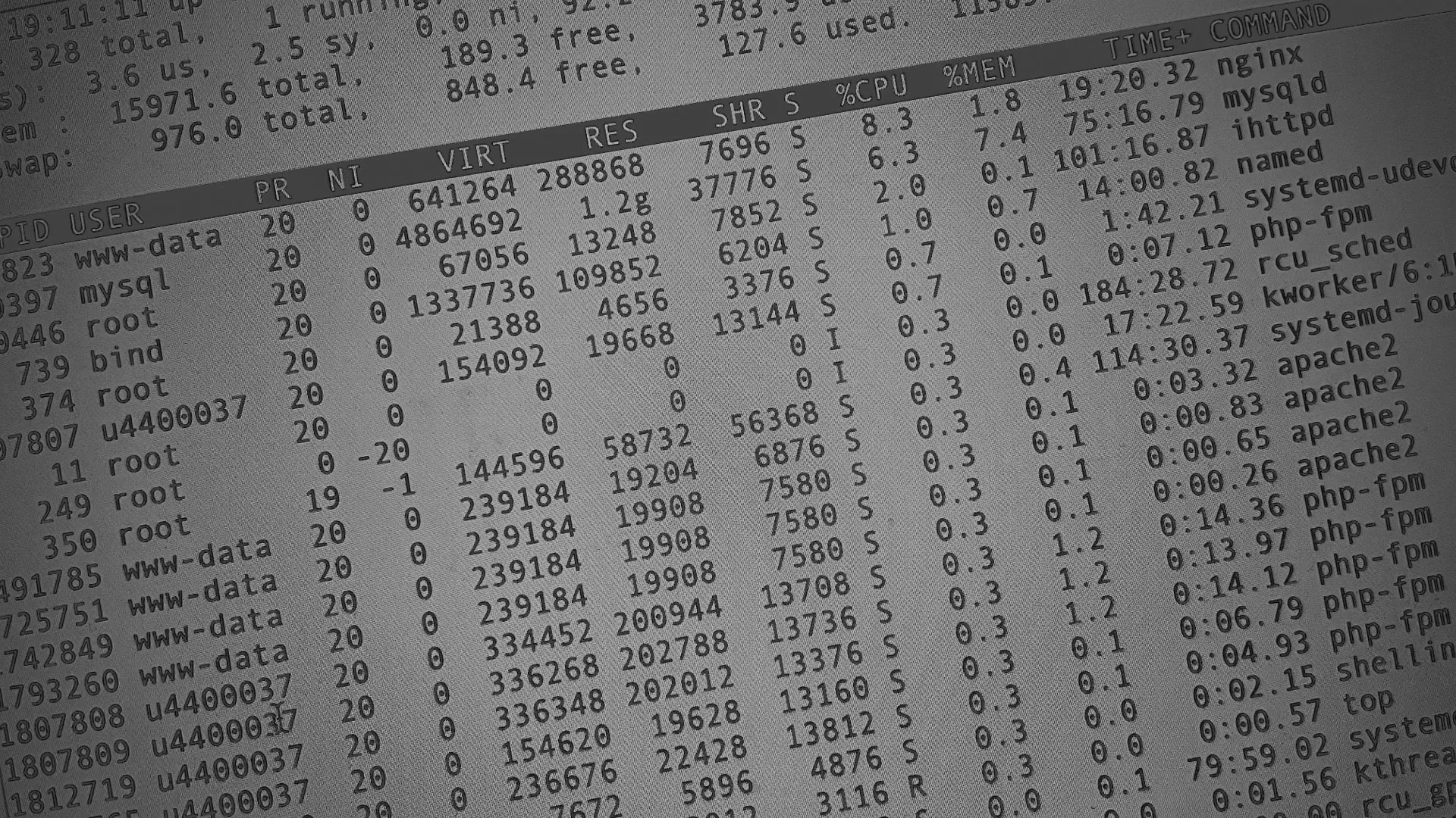 Настройка сервера в Монино