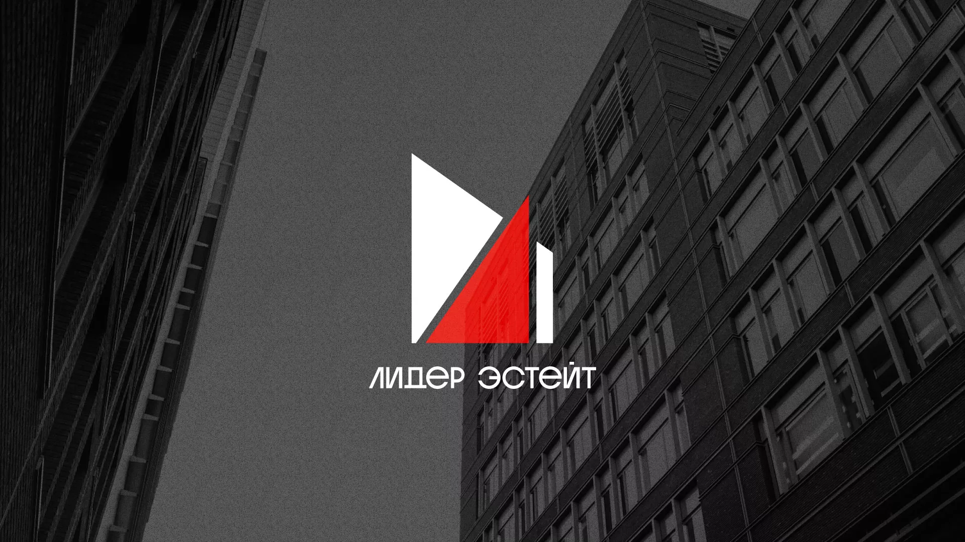 Сделали логотип для агентства недвижимости «Лидер Эстейт» в Монино